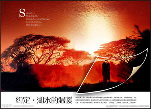 地产广告设计 视觉驱动价值的艺术与实践